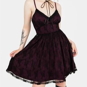 Disturbia Anastasie Stretch Lace Mini Dress